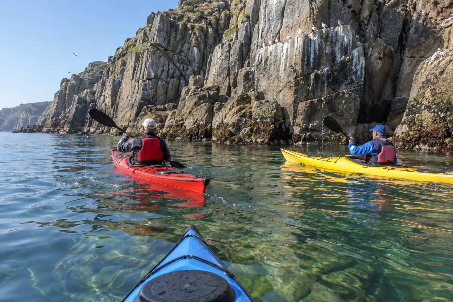 Sea Kayak & Seal Ledges, Frenchman Bay, Bar Harbor
